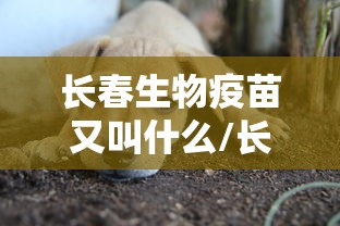 【北京确诊病例到山东,北京确诊病例到山东就医】 【北京确诊病例到山东,北京确诊病例到山东就医】