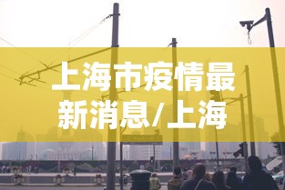 上海市疫情最新消息/上海市疫情状况 上海市疫情最新消息/上海市疫情状况