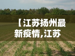 【江苏扬州最新疫情,江苏扬州疫情最新报道】 【江苏扬州最新疫情,江苏扬州疫情最新报道】