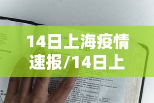 14日上海疫情速报/14日上海疫情速报图 14日上海疫情速报/14日上海疫情速报图