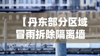 【丹东部分区域冒雨拆除隔离墙/丹东地区新冠隔离安置点】 【丹东部分区域冒雨拆除隔离墙/丹东地区新冠隔离安置点】