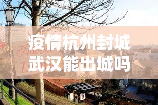 疫情杭州封城武汉能出城吗(疫情期间杭州封城吗) 疫情杭州封城武汉能出城吗(疫情期间杭州封城吗)
