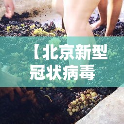 【北京新型冠状病毒/北京新冠状病毒肺炎】 【北京新型冠状病毒/北京新冠状病毒肺炎】
