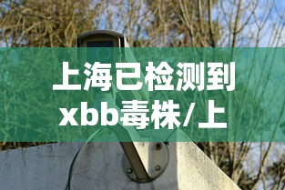上海已检测到xbb毒株/上海病毒源 上海已检测到xbb毒株/上海病毒源
