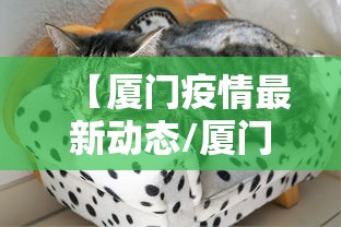 【厦门疫情最新动态/厦门疫情最新消息确诊16例】 【厦门疫情最新动态/厦门疫情最新消息确诊16例】
