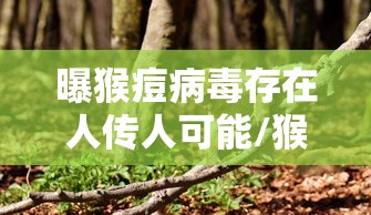 山东新增75例本土无症状:山东新增本土确诊公布 山东新增75例本土无症状:山东新增本土确诊公布