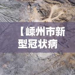 【嵊州市新型冠状病毒疫情/嵊州市疫情感染情况】