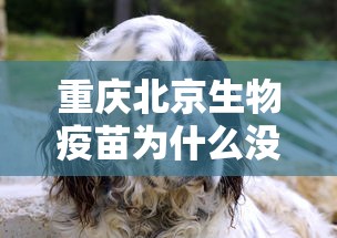 重庆北京生物疫苗为什么没有（打了重庆生物疫苗可以打北京生物嘛）