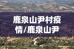 上海最新传染病疫情2月2日/上海病毒感染最新情况通报