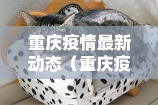 给大家讲解“牛牛链接房卡在哪里弄”获取玩金花房卡链接教程