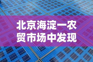 北京海淀一农贸市场中发现1例阳性/海淀哪个农贸市场查出阳性 北京海淀一农贸市场中发现1例阳性/海淀哪个农贸市场查出阳性
