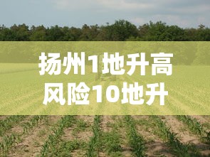 扬州1地升高风险10地升中风险/一升一降!扬州2地风险等级调整 扬州1地升高风险10地升中风险/一升一降!扬州2地风险等级调整