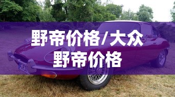 野帝价格/大众野帝价格