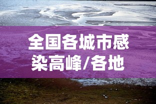 全国各城市感染高峰/各地感染人数排行榜 全国各城市感染高峰/各地感染人数排行榜