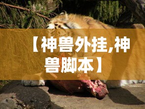 【31省份新增71例本土西安63例,陕西新增1本土病例是哪个城市的】 【31省份新增71例本土西安63例,陕西新增1本土病例是哪个城市的】
