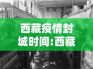 安徽合肥抗疫情新闻/新冠疫情安徽合肥