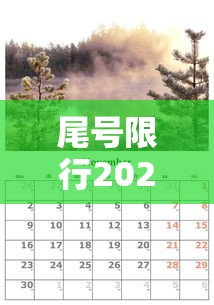 尾号限行2024年1月:尾号限行轮换2021年