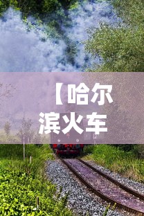【哈尔滨火车是否正常运行/哈尔滨火车还通吗】 【哈尔滨火车是否正常运行/哈尔滨火车还通吗】