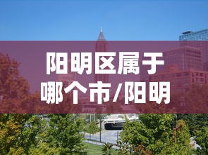 阳明区属于哪个市/阳明区属于哪个市哪个区