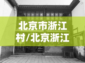 北京市浙江村/北京浙江村调查