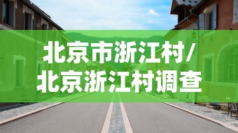 北京市浙江村/北京浙江村调查
