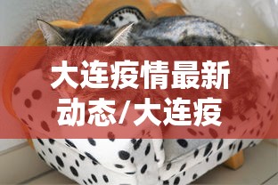 大连疫情最新动态/大连疫情最新动态数据 大连疫情最新动态/大连疫情最新动态数据