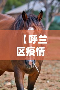 31省区市新增本土确诊19例(31省区市新增本土确诊人数) 31省区市新增本土确诊19例(31省区市新增本土确诊人数)