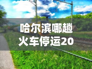 哈尔滨哪趟火车停运2021/哈尔滨发车的火车有停运的吗? 哈尔滨哪趟火车停运2021/哈尔滨发车的火车有停运的吗?