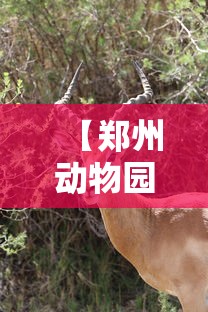 【郑州动物园门票多少钱/郑州动物园门票多少钱一张需要带身份证吗】