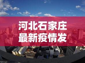 河北石家庄最新疫情发布会/石家庄 疫情发布 河北石家庄最新疫情发布会/石家庄 疫情发布