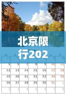 辽宁新增20例本土确诊12例无症状/辽宁新增一例本土无症状感染者 辽宁新增20例本土确诊12例无症状/辽宁新增一例本土无症状感染者