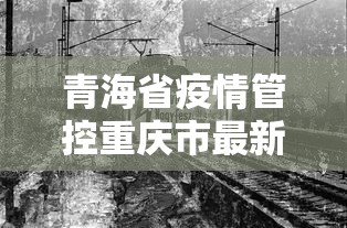 青海省疫情管控重庆市最新消息/青海省疫情防控情况