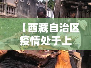 【西藏自治区疫情处于上升期,西藏疫情况怎么样】