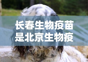 福州ktv停业:福州Ktv 福州ktv停业:福州Ktv