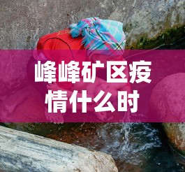 峰峰矿区疫情什么时候解封/峰峰矿区新型冠状病毒有几例