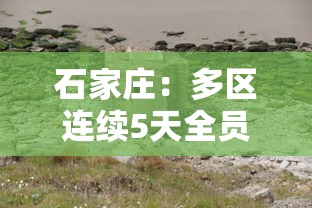 石家庄:多区连续5天全员核检(石家庄将开展新一轮全员核酸检测) 石家庄:多区连续5天全员核检(石家庄将开展新一轮全员核酸检测)