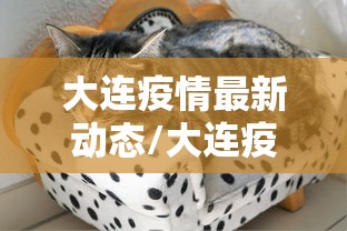 大连疫情最新动态/大连疫情最新动态本地人家是女 大连疫情最新动态/大连疫情最新动态本地人家是女