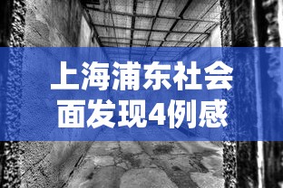郑州红码:郑州红码黑衣人