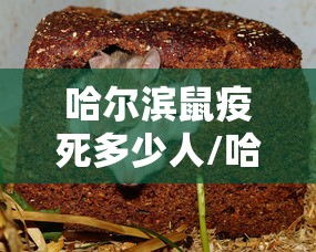 哈尔滨鼠疫死多少人/哈尔滨鼠疫是哪年 哈尔滨鼠疫死多少人/哈尔滨鼠疫是哪年