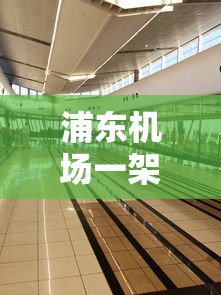 浦东机场一架货机在地面起火:浦东机场 起火