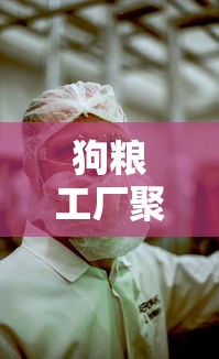 狗粮工厂聚集性感染/记者暗访狗粮加工厂