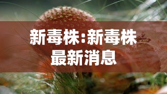 南京疫情报告最新(南京疫情报告最新消息) 南京疫情报告最新(南京疫情报告最新消息)