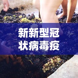 湖南省防疫指挥部通告最新/湖南省防疫站