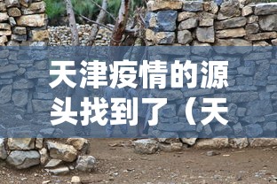 天津疫情的源头找到了(天津疫情根源) 天津疫情的源头找到了(天津疫情根源)