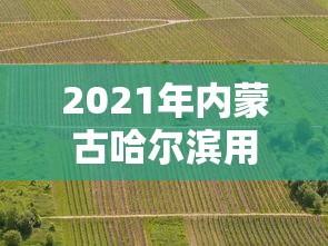 2021年内蒙古哈尔滨用隔离吗:内蒙古去哈尔滨