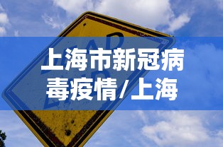 上海市新冠病毒疫情/上海市 新冠疫情