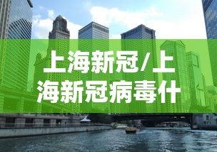 上海新冠/上海新冠病毒什么时候结束 上海新冠/上海新冠病毒什么时候结束