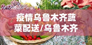 疫情乌鲁木齐蔬菜配送/乌鲁木齐市直销店蔬菜价格表