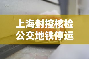 上海封控核检公交地铁停运:上海地铁临时封站