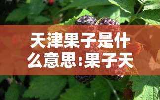 【沈阳又有疫情了吗最新消息/沈阳又有新冠疫情吗】 【沈阳又有疫情了吗最新消息/沈阳又有新冠疫情吗】